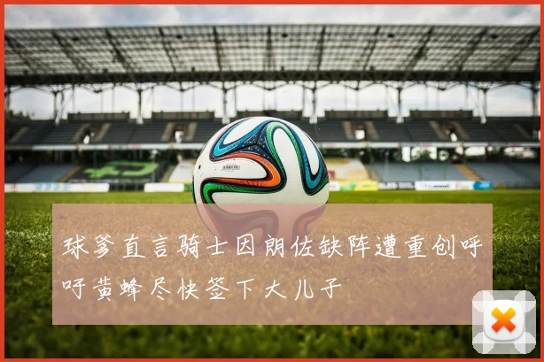 球爹直言骑士因朗佐缺阵遭重创呼吁黄蜂尽快签下大儿子